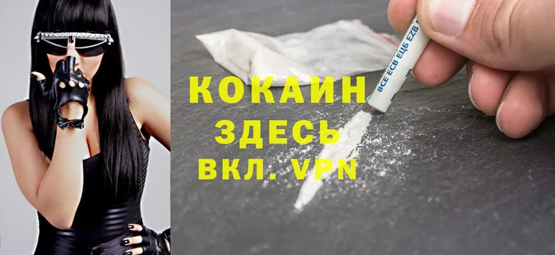 Cocaine Columbia  купить закладку  Карачев 